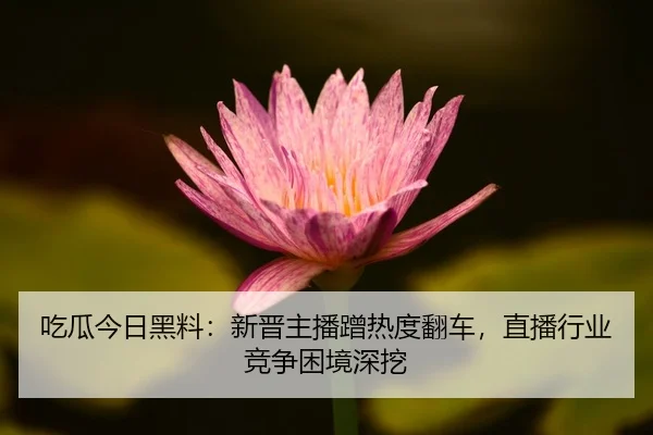 吃瓜今日黑料：新晋主播蹭热度翻车，直播行业竞争困境深挖